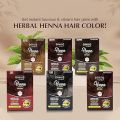 HEMANI Hair Henna Color (60g)  6 Applications, Colors in 20 Minutes - Herbal Based Henna   (Black, Burgundy, Brown, Chestnut, Dark Brown, Red). 