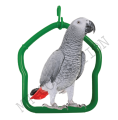 Toy Swing For Large Parrot Birds. 