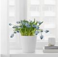 IKEA MUSKOT Plant pot, white 12 cm. 