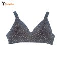 FairyShop Jersey Cotton Bra Non Padded 44 46 48 50 52 54 Pack of 1 - ZQV. 