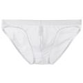 Man Panties Transparent Panties Thin Mesh Underwear Temptation Breathable Briefs. 