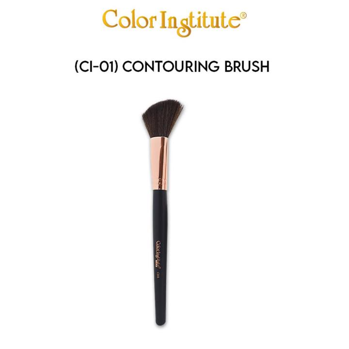 Color Institute Contouring Brush CI01 For Face Contouring Makeup Brush For Face Perfect  Daily Beauty Tools Beauty Express