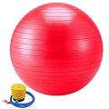 Exercise Gym Ball Exercise Ball Birthing Ball Stability Balance Yoga Ball for Birthing & Physical Therapy with Quick Pump Stomach and Weight Loss Equipment (Office & Home & Gym). 