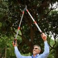 Extendable Anvil Loppers Tree Trimmer with Compound Action,Chops Thick Branch Ease,27-41''Telescopic Heavy Duty Branch Cutter,2 inch Clean Cut Capacity. 