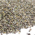 Super Refined Hemp Seeds (Tukhm e Bhang) 1KG. 