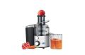 Anex AG-92 Deluxe Juicer | 400W Stainless Steel Juice Extractor | Large Capacity. 