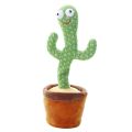 Dancing Cactus toys,Cute talking and Dancing Cactus Plant Toy, Dancing Cactus Plush Toy, Smart Dancing Bones Cactus, Electronic Shake with Song for kids, dancing cactus talking, dancing cactus usb, dancing cactus restoked, dancing cactus toy niceborn. 