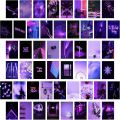 Customizable Aesthetic Posters - Set of 50, 4x6 Inch Wall Decor. 