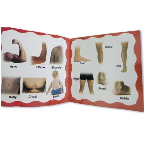 Pack%20Of%2010%20Pre%20School%20Books%20For%20Your%20Kids%20-%20Kids%20Books%20For%20Early%20Learning%20-%20Reading%20Books%20For%20Kids%20And%20Children%20KS%20-%20Image%204