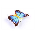 3D Color Changing Butterfly Wall Stickers LED Night Light Decal Art for Party or Bedroom. 