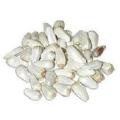 Safflower Qurtum / Kurtum Seeds - 500 Grams. 