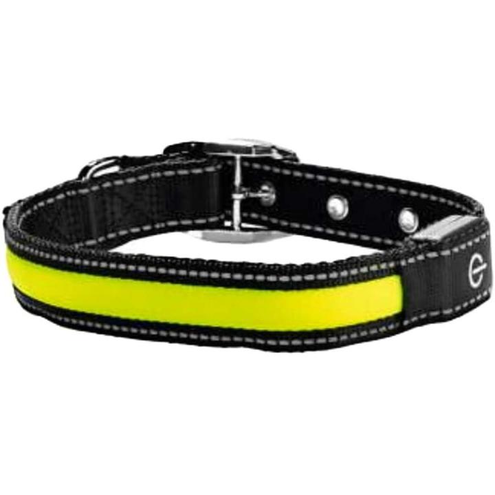Zoofari LED dog collar medium