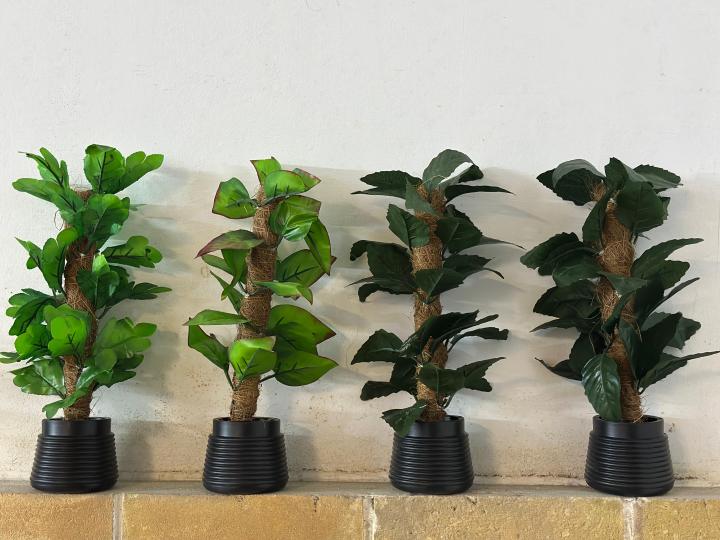 Breezy%20Tall%20Fiddle%20Leaf%20Fig%20Tree%20in%20Pot%20-%20Decorative%20Indoor%20Plant%20-%20Image%2010