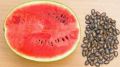 Desi Watermelon / Tarbooz Seeds 15+. 