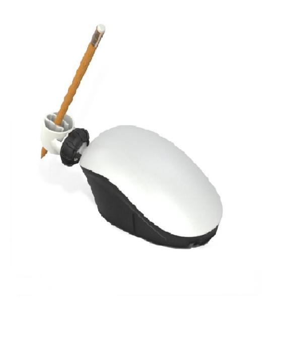 Weighted Pencil Holder Adl