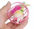 Cat Playing Mouse Ball Toy. 