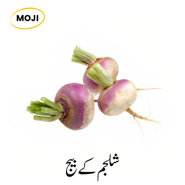 Turnip Seeds - Shaljam Seeds for Your Kitchen Gardening by Moji Mall