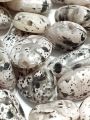 Pack of 40gms Beads, Black White Oval Plastic Beads For DIY Jewelry Making, Jewelry, DIY, Dresses And Crafting Accessories.. 