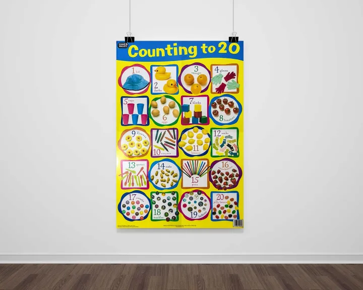 COUNTING%20TO%2020%20chart%20-%20Image%202