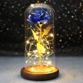 Rose In Flask Beauty And The Beast Gold-plated Red Rose With LED Light In Glass Dome For Wedding Party Mother's Day Gift. 