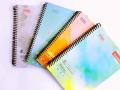 Pack of 3 A4 size Register. 