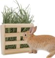 Kaytee All Natural Timothy Hay for Rabbits & Other Small Animals, 500 grams - Rabbit food.. 