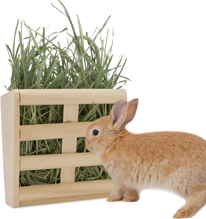 Kaytee%20All%20Natural%20Timothy%20Hay%20for%20Rabbits%20&%20Other%20Small%20Animals,%20500%20grams%20-%20Rabbit%20food.%20-%20Image%202