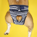 Pet Pants Flexible Warm Pet Pants. 