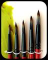 Round Royal Art Paint Brush Set of 5 - Premium Quality. 