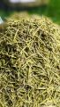 Premium Quality Rosemary Leaves (50Grams) "Organic Rosemary Leaves - Fresh Aromatic Herb for Cooking & Health Ideal for Strong Hair Growth Buy And Enjoy. 