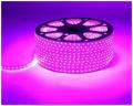 Purple Flexible Rope Led Strip light Water Proof and multiple sizes to choose for indoor and outdoor use long life bulbs rope lights. 
