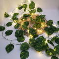 Artificial Plant Leaves with Fairy Lights – Battery Operated Money Plant Room Decoration. 