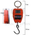 Portable Crane Scale 200kg Weight LED Display Industry Heavy Duty Hanging Hook Scales. 