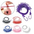 Stretchable Long Elastic Cloth Drying Rope With 12 Metal Clips Hangers Portable Clothes line for Travel/Home Small Places. 