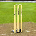 Hard Ball Cricket Spring Back Cricket Stumps – 28in Senior Stumps – Freestanding & Portable. 