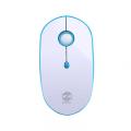 ZW660 Wireless Mouse With Dongle 10 Meter Range. 