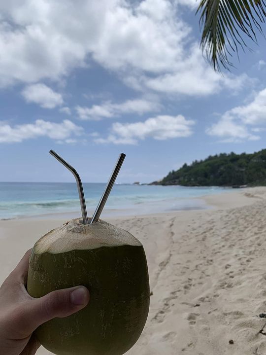 Pack%20of%203-%202%20Stainless%20Steel%20Reusable%20Bent%20Drinking%20Straws%20with%20FREE%20Cleaning%20Brush%20Metal%20SS%20Straws%20Eco-Friendly%20Durable%20Kitchen%20Utensils%20Metal%20Drinkware%20For%20Dining%20Smoothies%20Milkshake%20Drinks%20Tea%20Milk%20Cocktails%20Flexible%20Bendable%20Reusable%20Straw%20-%20Image%205