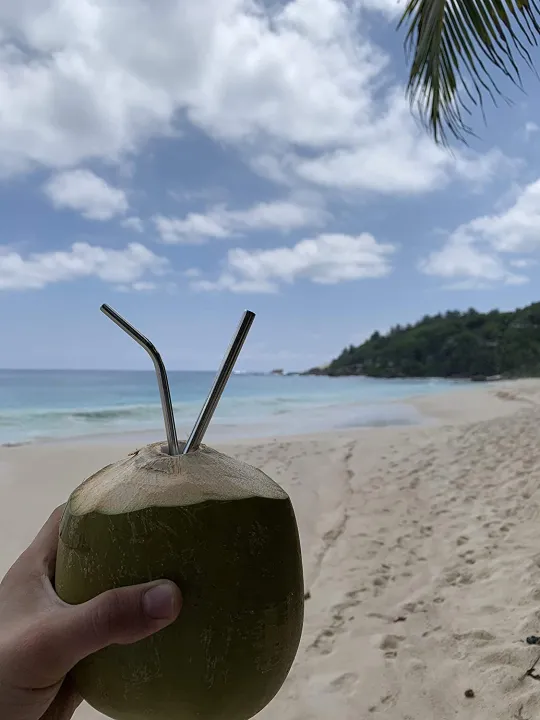 Pack%20of%203-%202%20Stainless%20Steel%20Reusable%20Bent%20Drinking%20Straws%20with%20FREE%20Cleaning%20Brush%20Metal%20SS%20Straws%20Eco-Friendly%20Durable%20Kitchen%20Utensils%20Metal%20Drinkware%20For%20Dining%20Smoothies%20Milkshake%20Drinks%20Tea%20Milk%20Cocktails%20Flexible%20Bendable%20Reusable%20Straw%20-%20Image%205