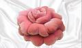 Velvet Rose flower Cushions-Cushion Room Decoration Items-Sofa Cushion - Filled with Fiber Polyester. 