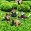 4Pcs Funny Garden Gnomes, Fairy Garden Gnome Miniature Decorations. 