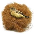 Natural Nesting Material for Birds, Parrots, Finches by Vintgold | Coconut Fiber for Bird House (80 Gram) Large pack of Coco Coir Waste Husk. 