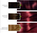 Garnier Color Naturals - 6.66 Intense Red Hair Color. 