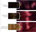 Garnier Color Naturals - 6.66 Intense Red Hair Color. 