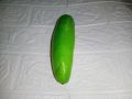 1 Piece - Artificial 6.5 inch Cucumber Vegetable - Decorative Styrofoam Cucumber - Crafted Thermacol Cucumber (Artificial Vegetables). 