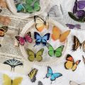 80 Pcs Elegant Butterfly Stickers PET Transparent Decorative Decals For Phone Laptop Waterbottle Planner Diary Journal Scrapbook. 
