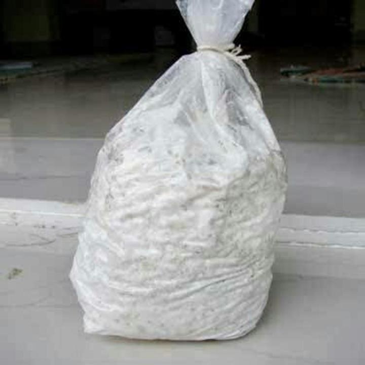 Button Mushroom Spawn 500grams