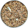 The Birds Company Exotic Seed Blend of 8 Grains, Fortified with Spirulina, Bird Food for Finches & Waxbills, 500 grams pack. 