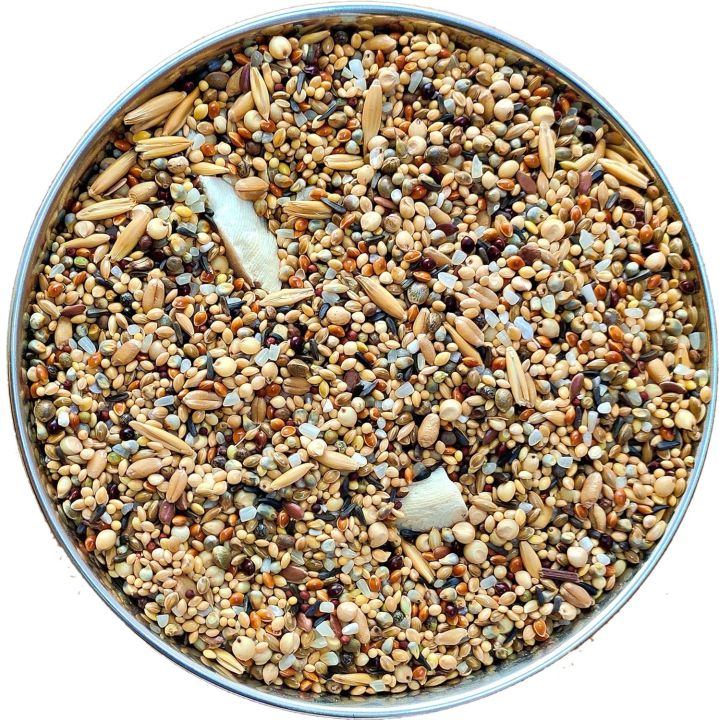 The%20Birds%20Company%20Exotic%20Seed%20Blend%20of%208%20Grains,%20Fortified%20with%20Spirulina,%20Bird%20Food%20for%20Finches%20&%20Waxbills,%20500%20grams%20pack%20-%20Image%202