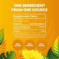 Organic Dandelion Root Tea-100 Tea Bags | Organic Herbal Tea | Eco-Friendly Tea Bags | Non-GMO Caffeine Free Tea. 
