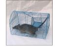Mouse Trap For Home. 